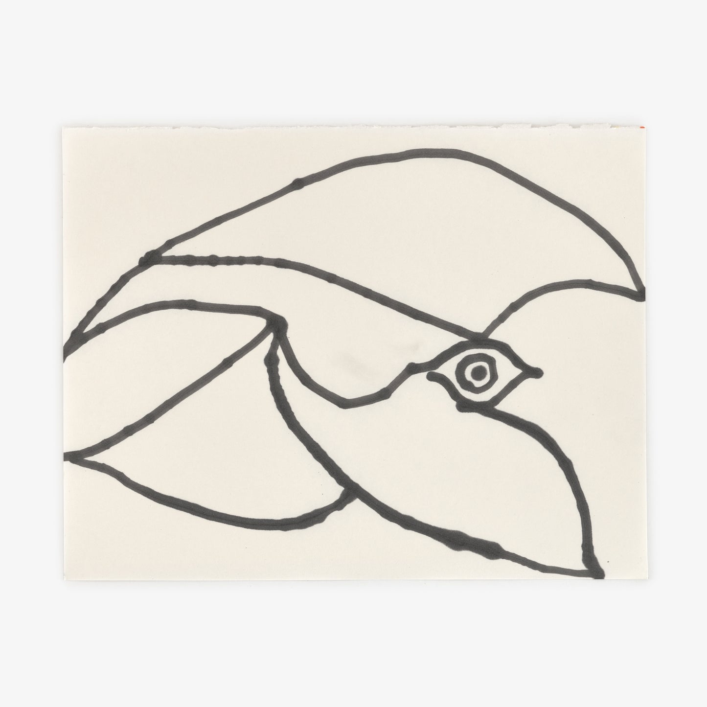 Anthony Miler - Drawing 39M