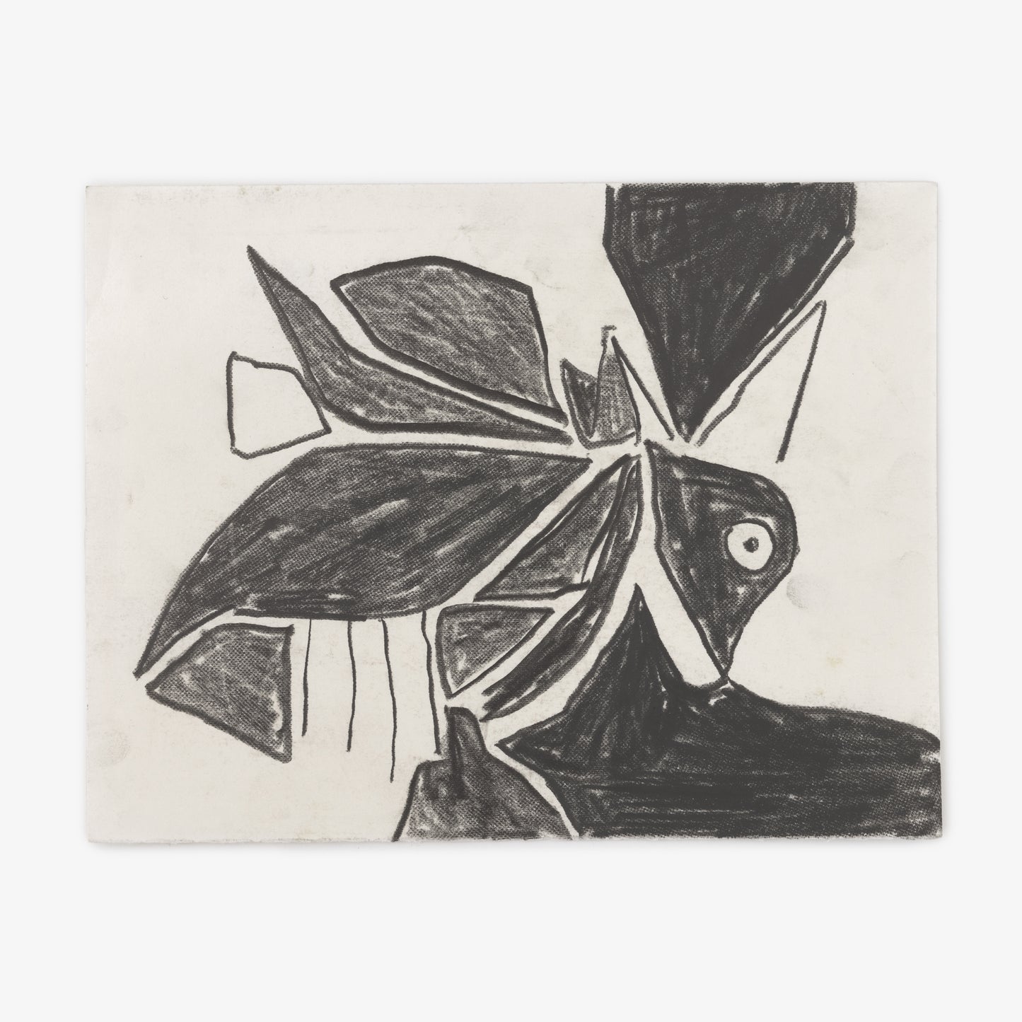 Anthony Miler - Drawing 53J