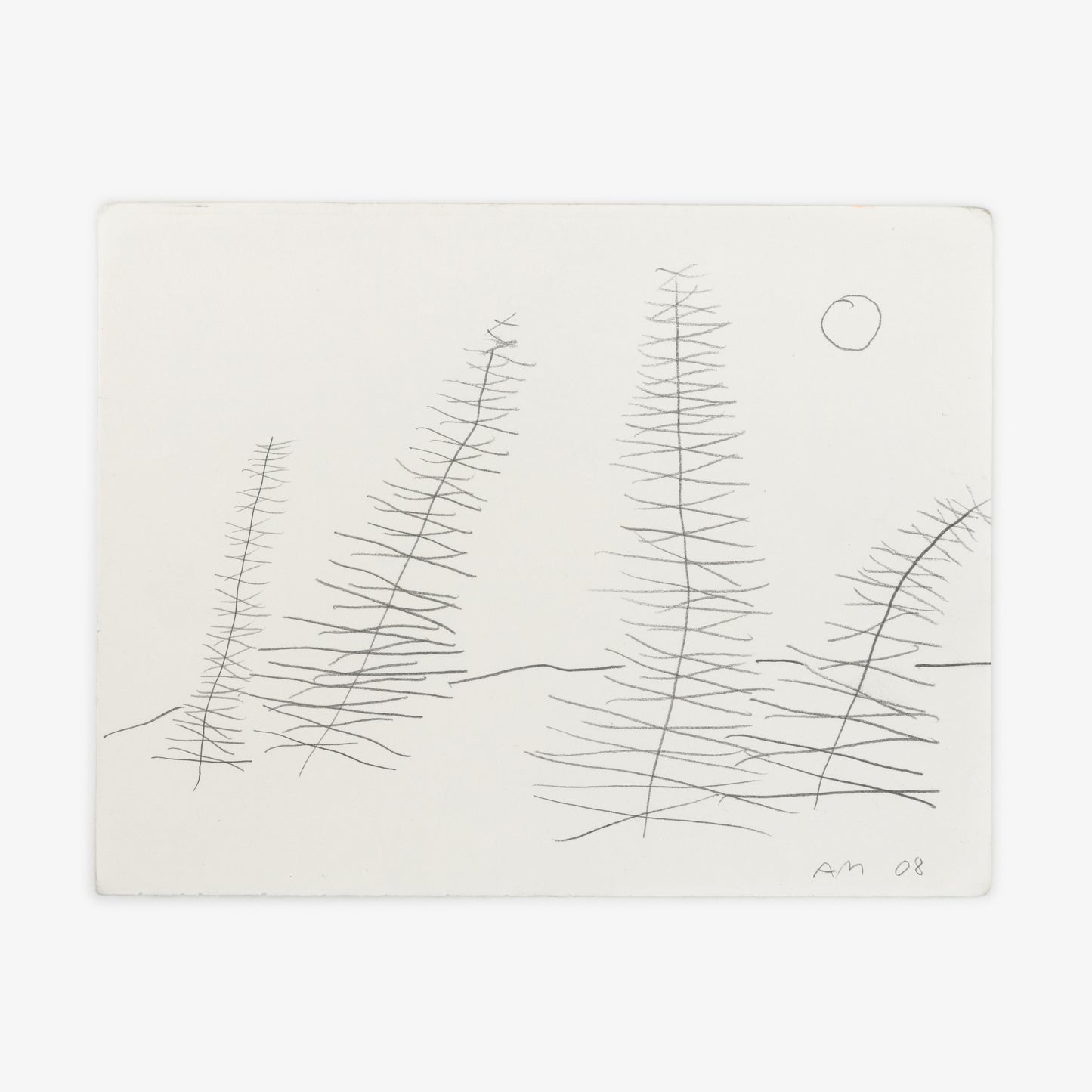 Anthony Miler - Drawing 65M