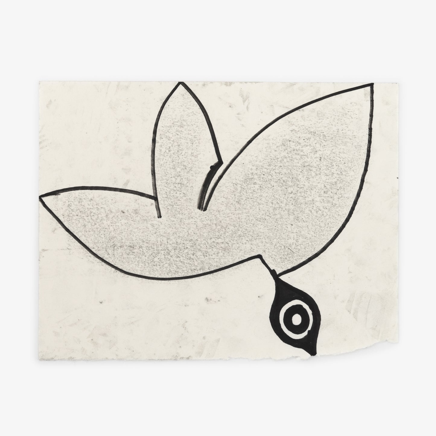 Anthony Miler - Drawing 66O