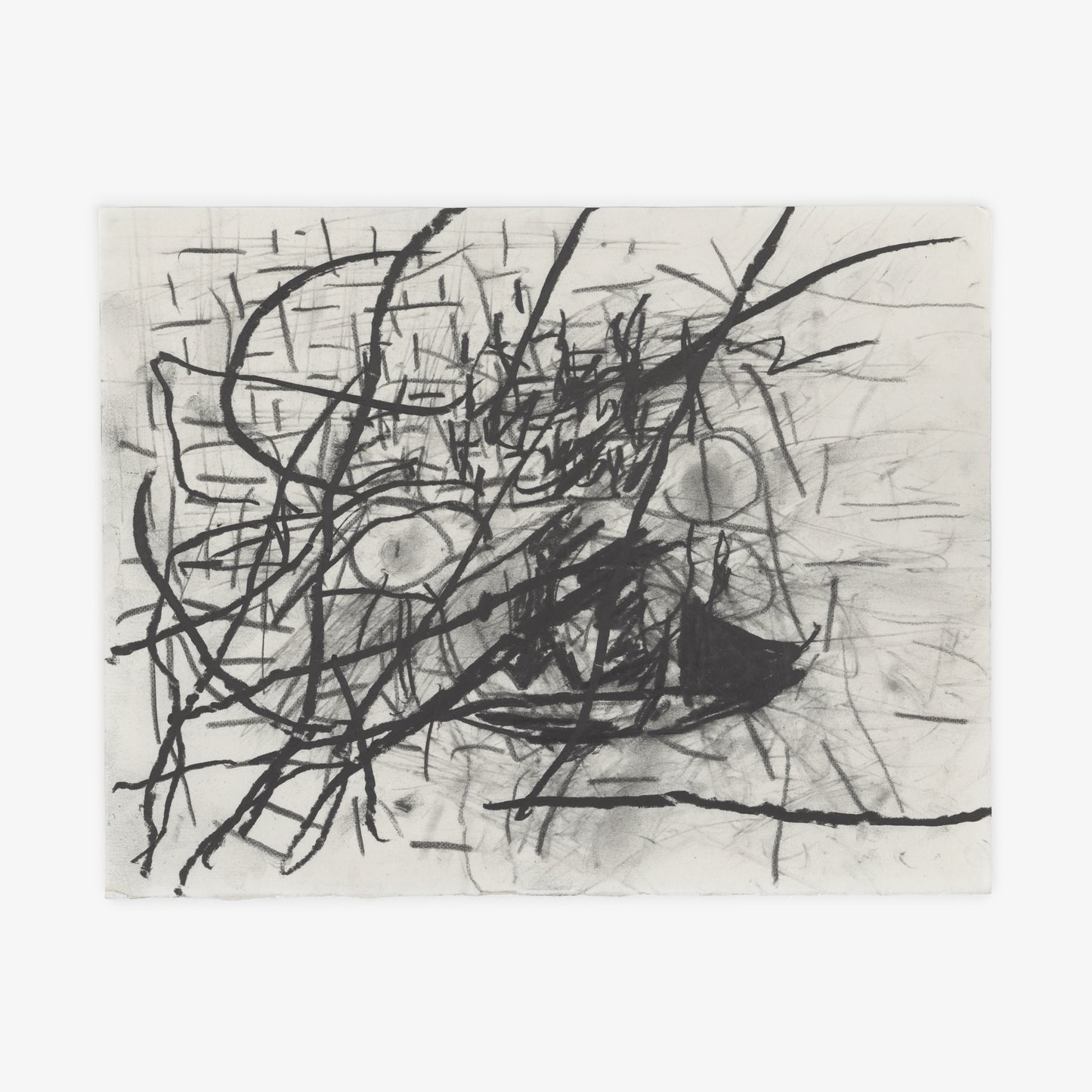 Anthony Miler - Drawing 6F