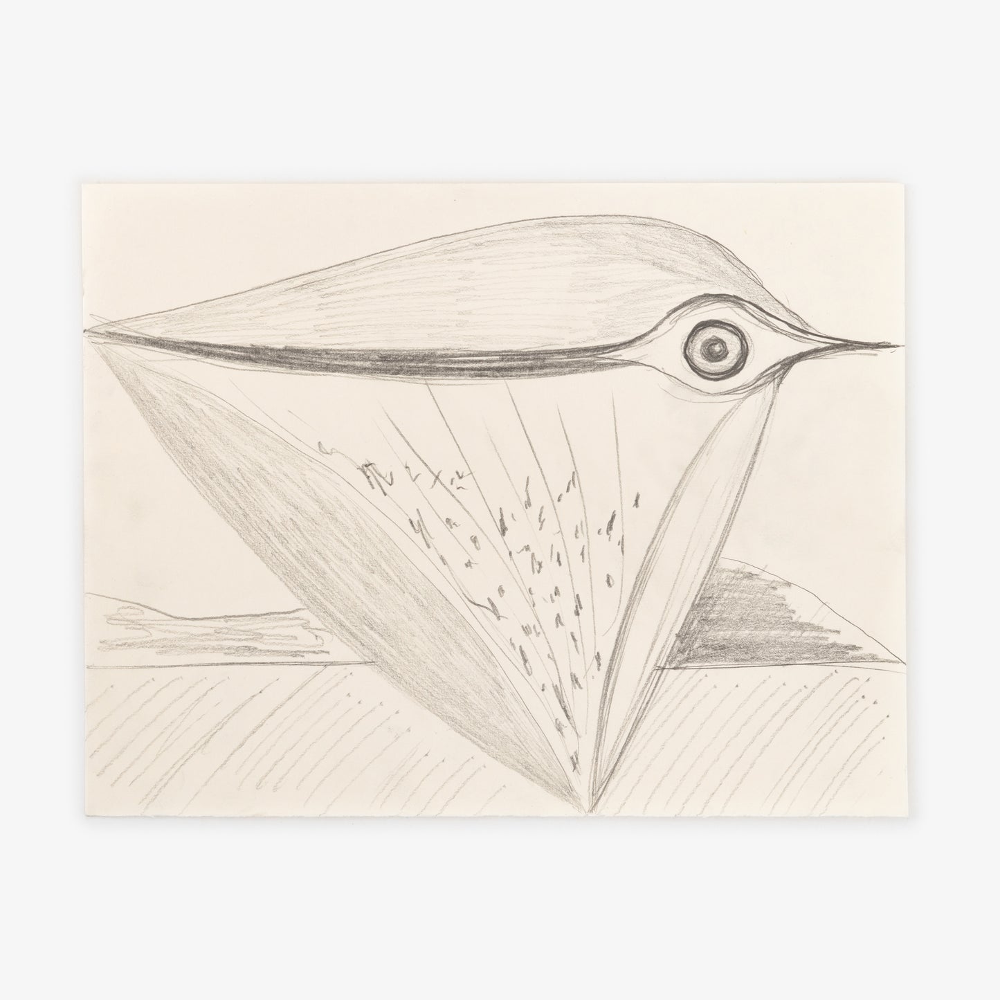 Anthony Miler - Drawing 73J