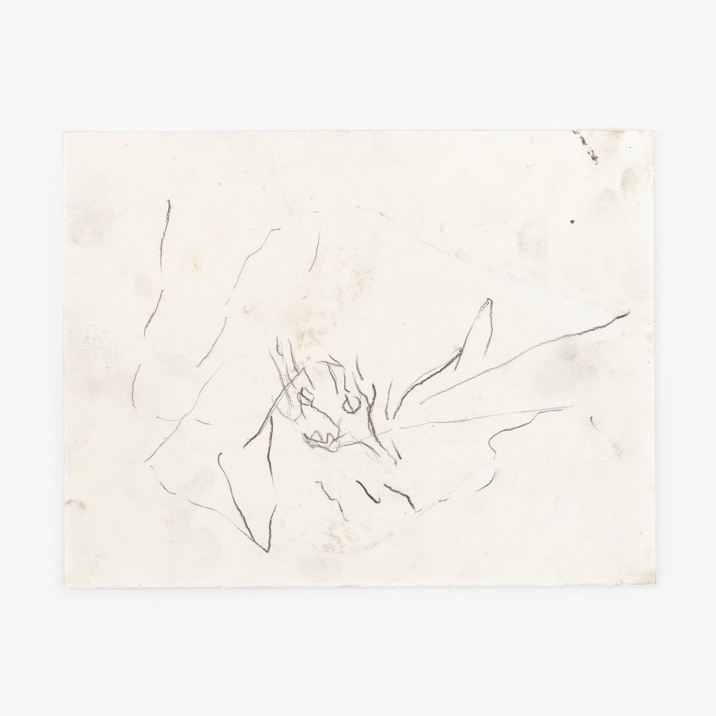 Anthony Miler - Drawing 76G