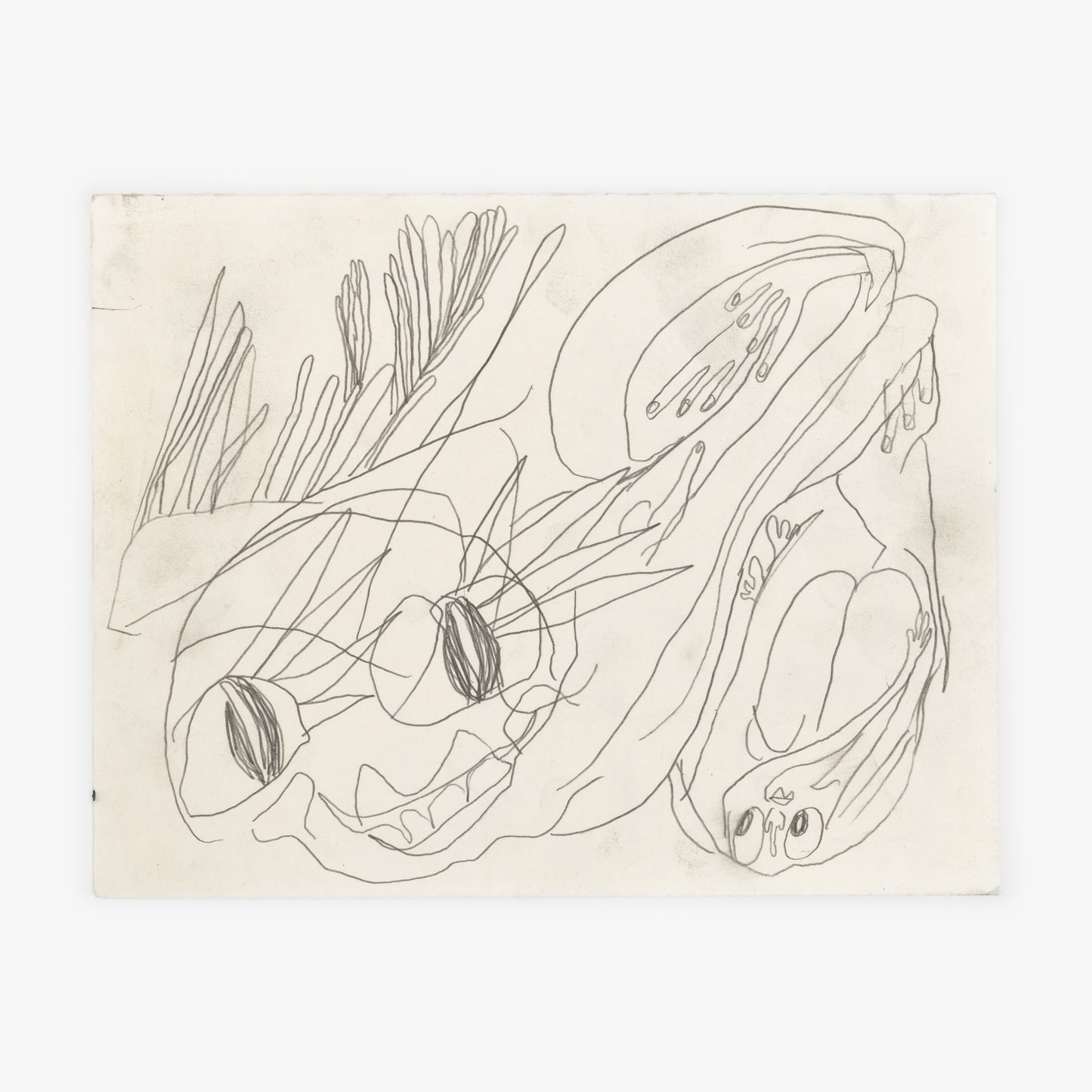 Anthony Miler - Drawing 77O