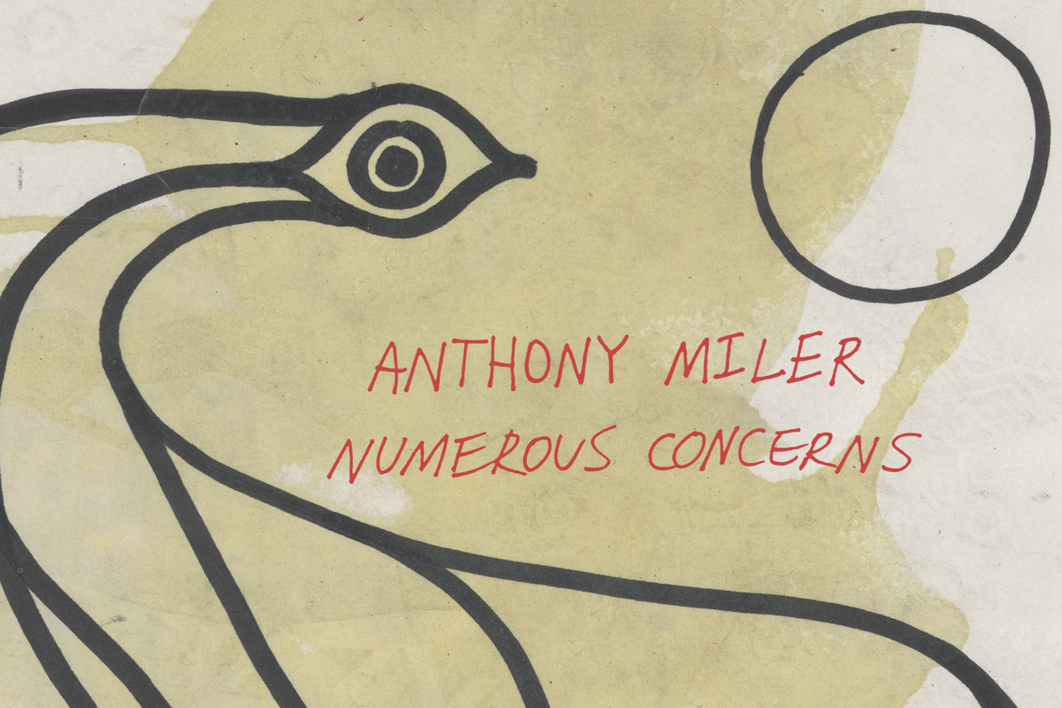Anthony Miler "Numerous Concerns"