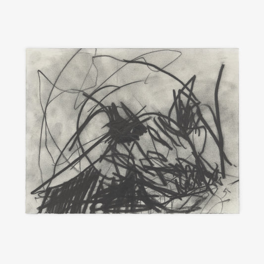 Anthony Miler - Drawing 12J
