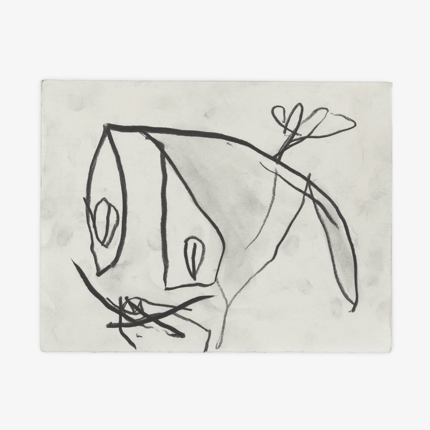 Anthony Miler - Drawing 13E