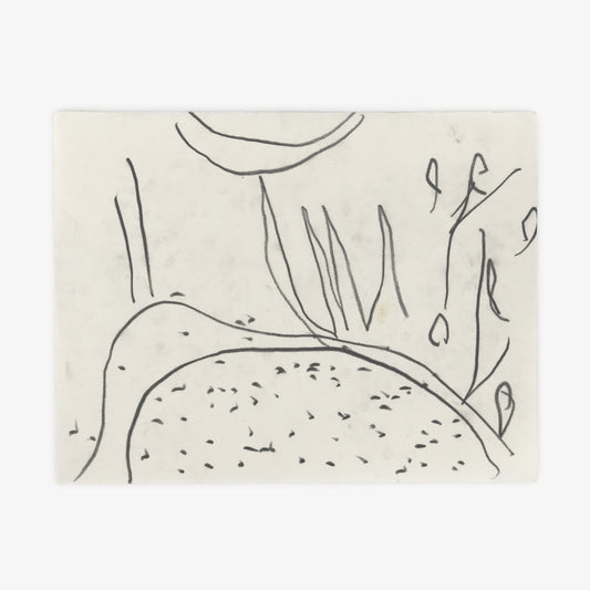 Anthony Miler - Drawing 14F