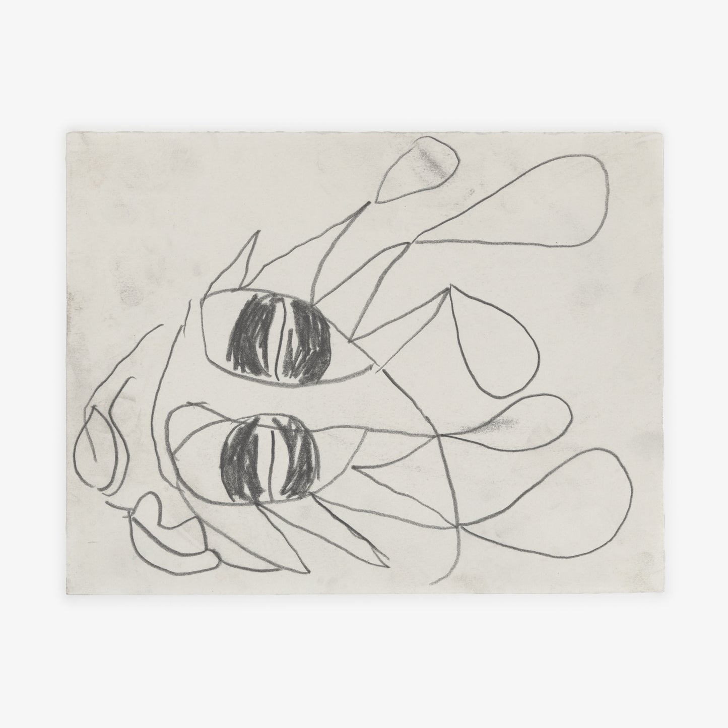 Anthony Miler - Drawing 20O