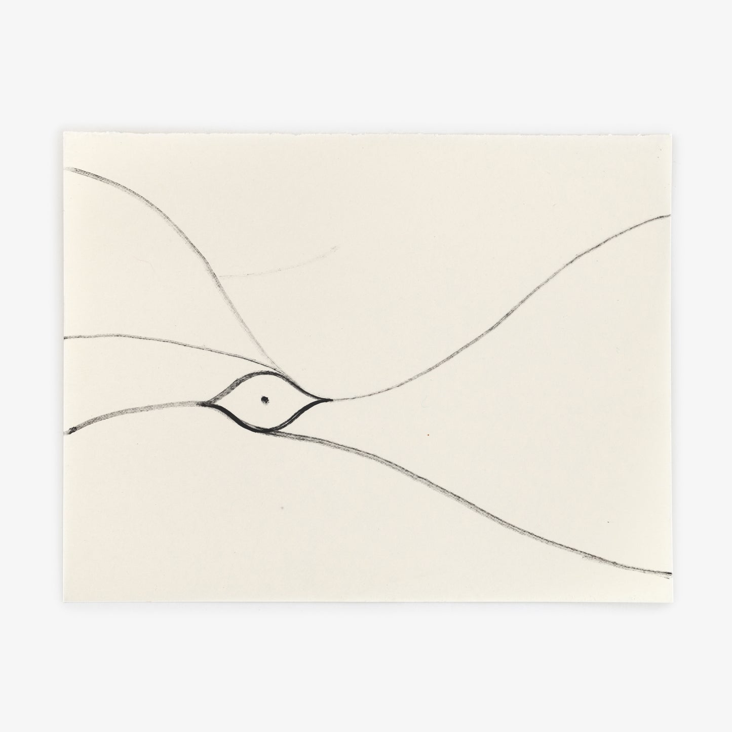 Anthony Miler - Drawing 37D