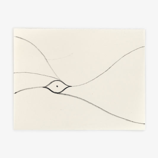 Anthony Miler - Drawing 37D