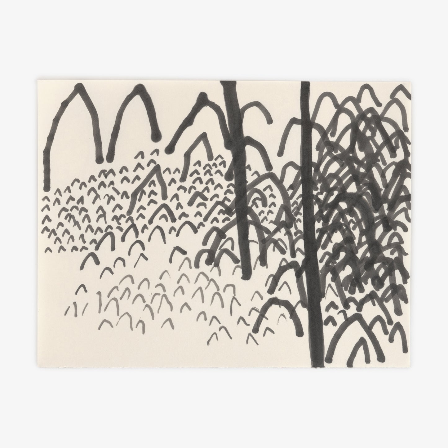 Anthony Miler - Drawing 43B