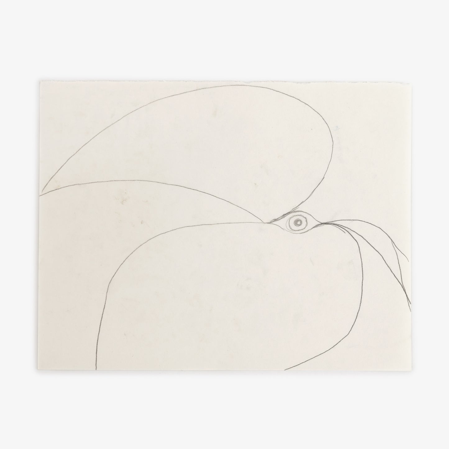 Anthony Miler - Drawing 50M