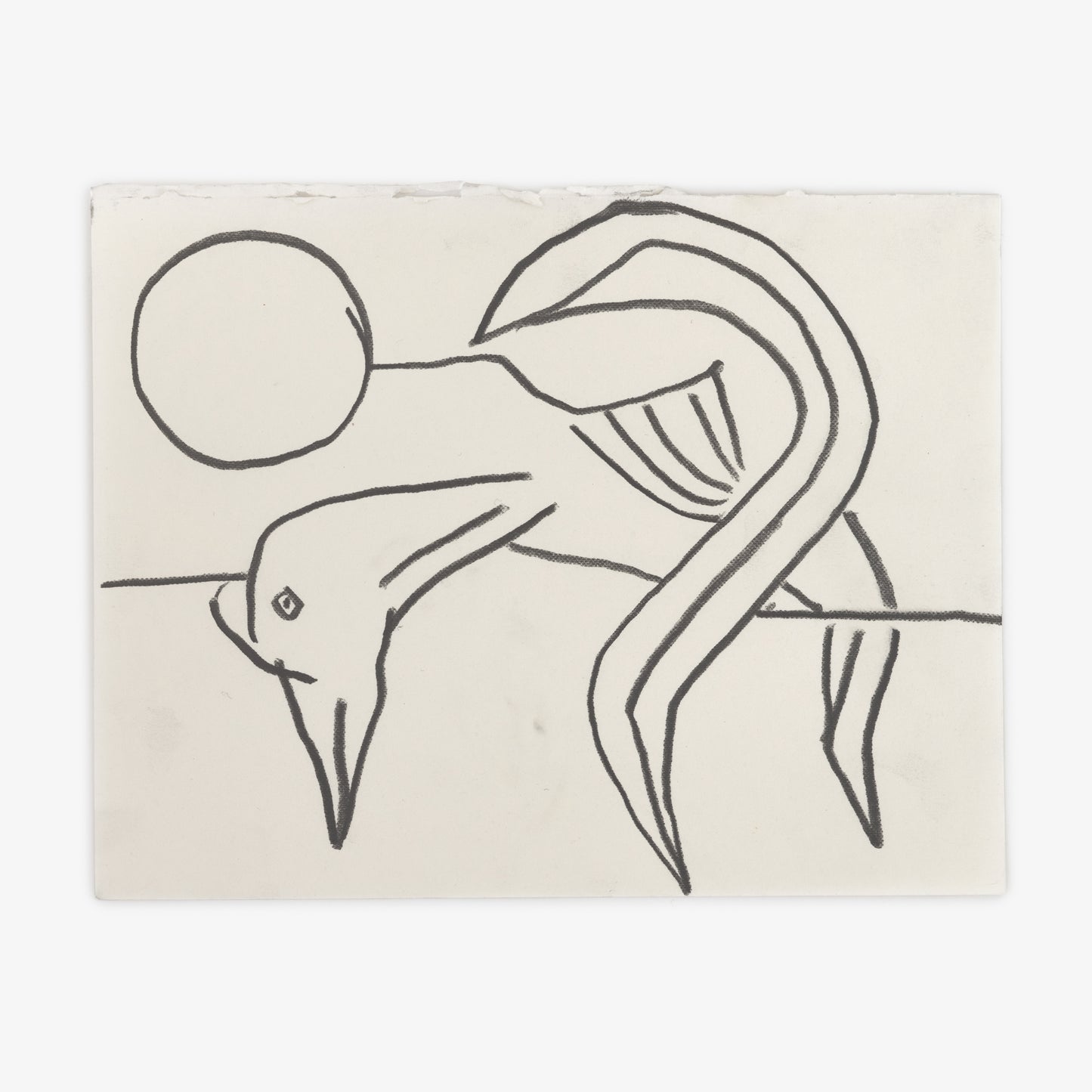 Anthony Miler - Drawing 56O