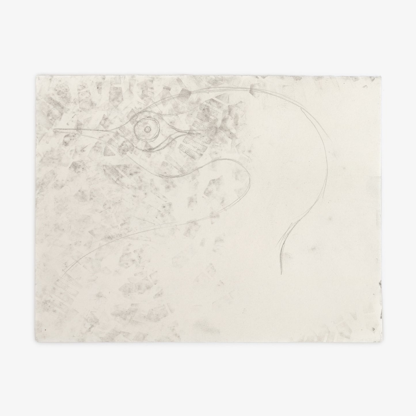 Anthony Miler - Drawing 57G