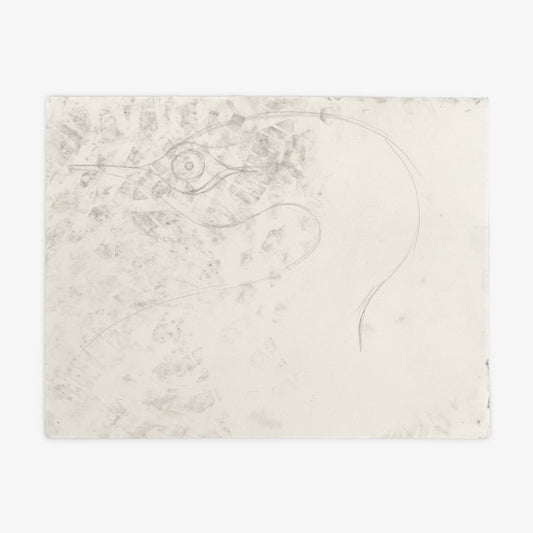 Anthony Miler - Drawing 57G