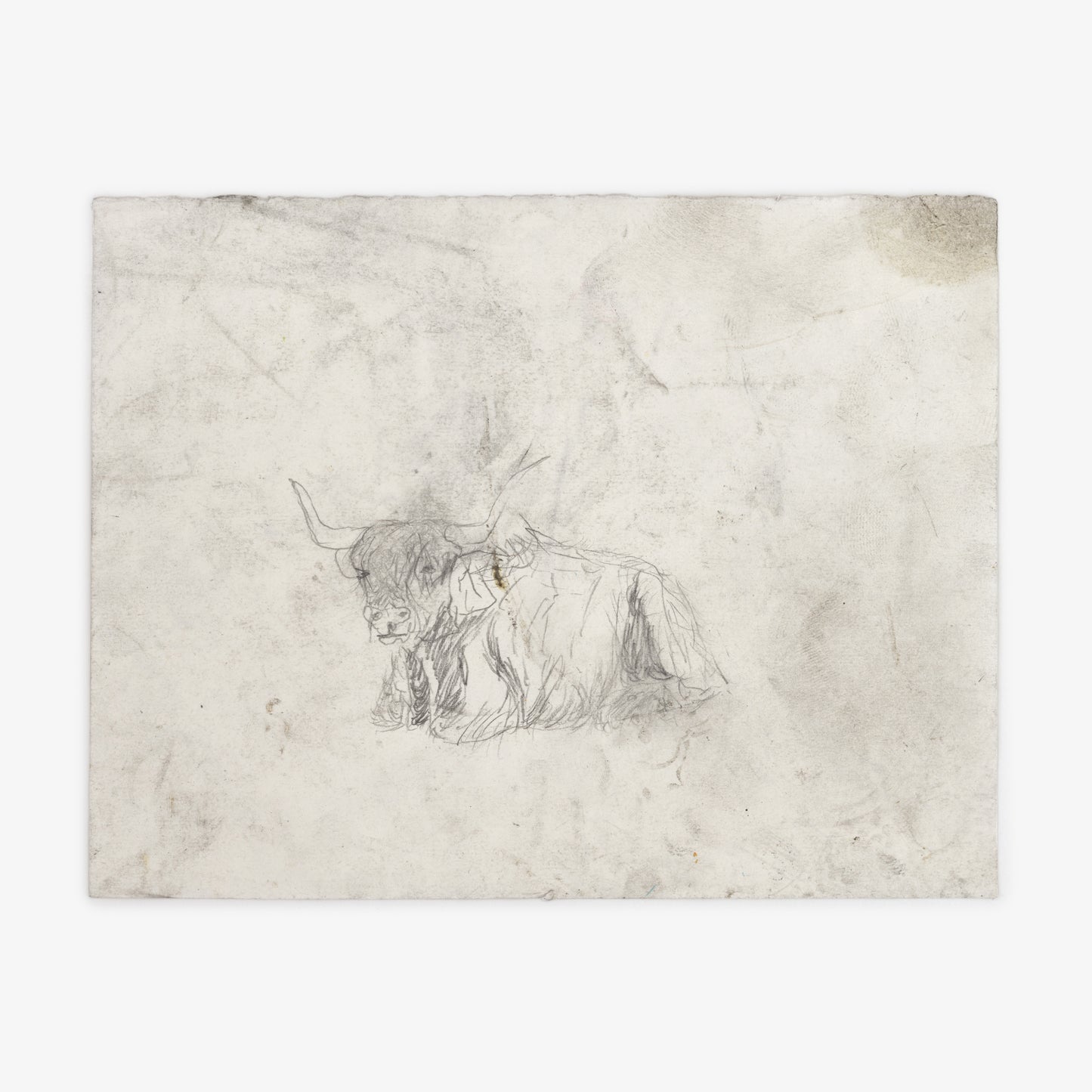 Anthony Miler - Drawing 58K