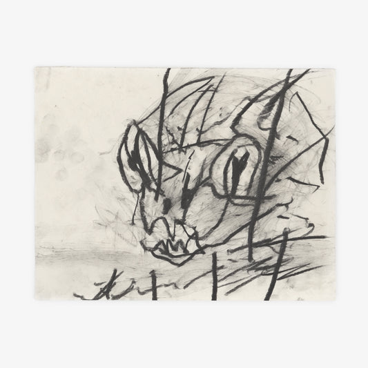 Anthony Miler - Drawing 5B