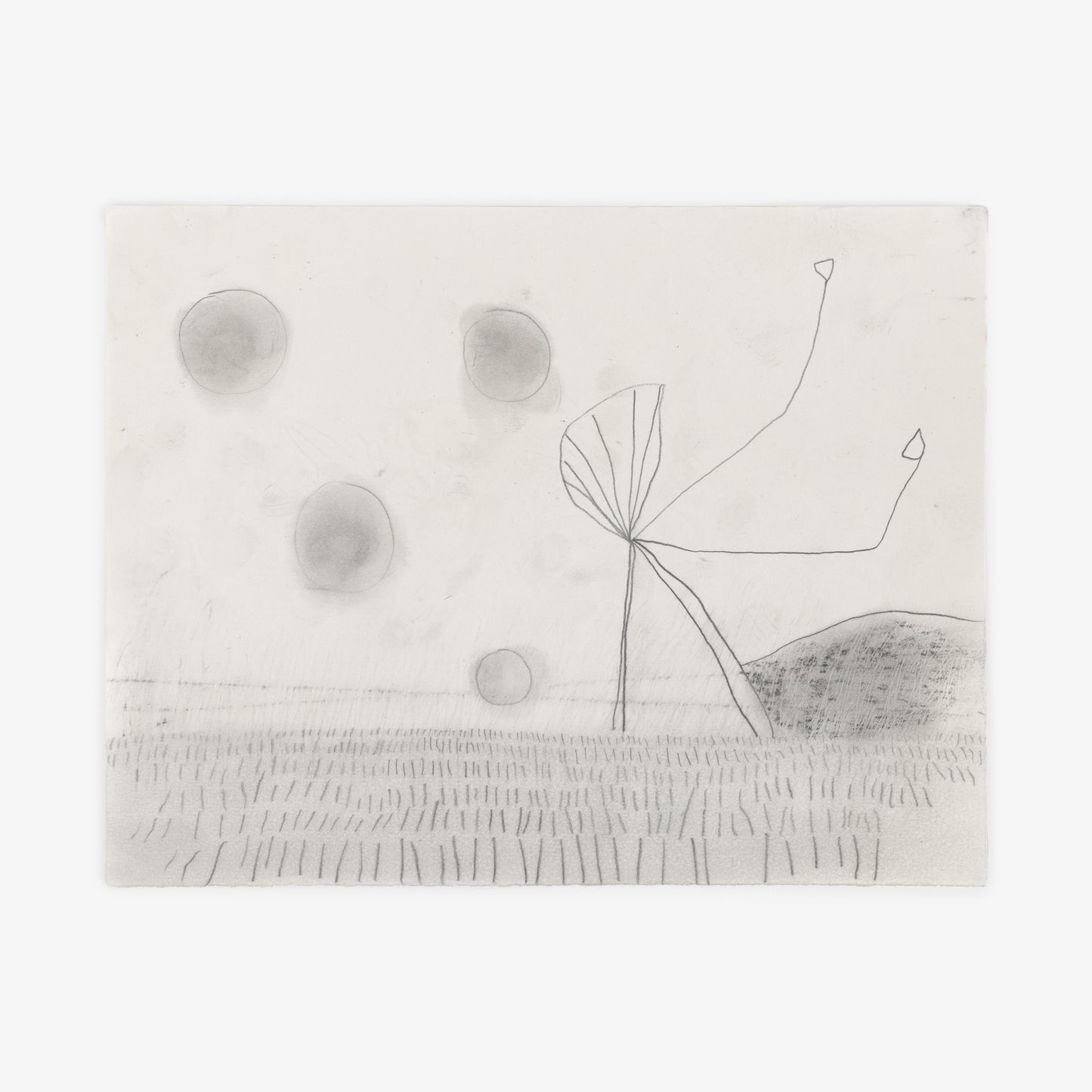 Anthony Miler - Drawing 7L
